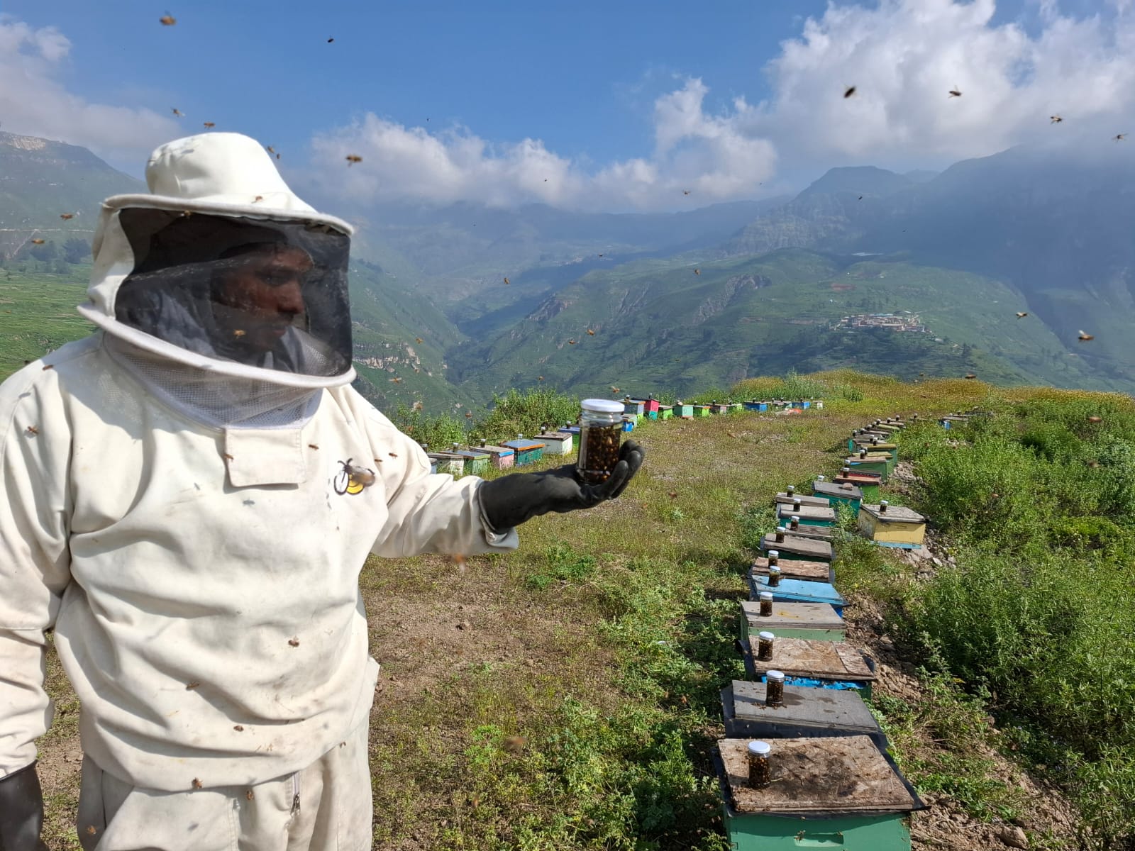Polinización Agrícola